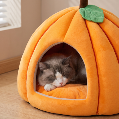 Pumpkin Pet Bed