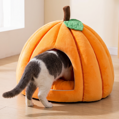 Pumpkin Pet Bed