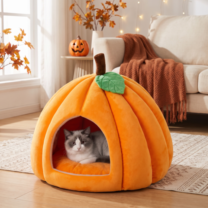 Pumpkin Pet Bed